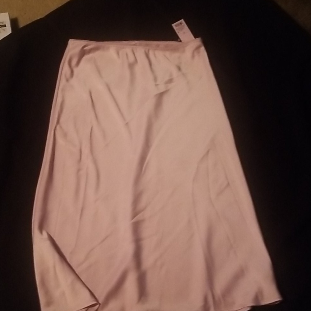 Wild Fable slip skirt